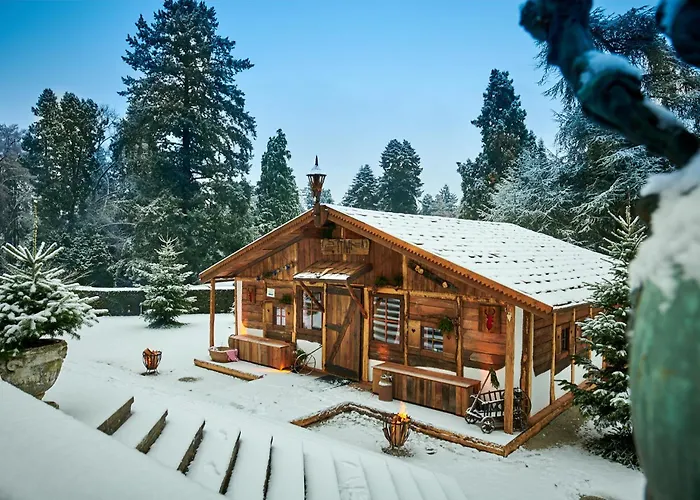 克伦贝格城堡酒店 - 法兰克福酒店 酒店