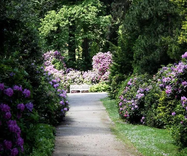 克伦贝格城堡酒店 - 法兰克福酒店 酒店